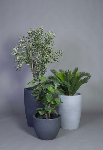 Ensemble de 3 Pots VERONA avec 3 Plantes Haute Qualité