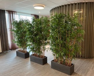 Ensemble de 9 Bambous Artificiels Haute Qualité et 3 Pots Milano