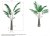 Areca Palm avec Pot Rond Grand Format