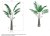 Areca Palm avec Pot Rond Grand Format