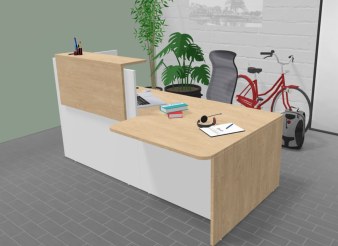 Banque d'Accueil COUPOLE avec PMR