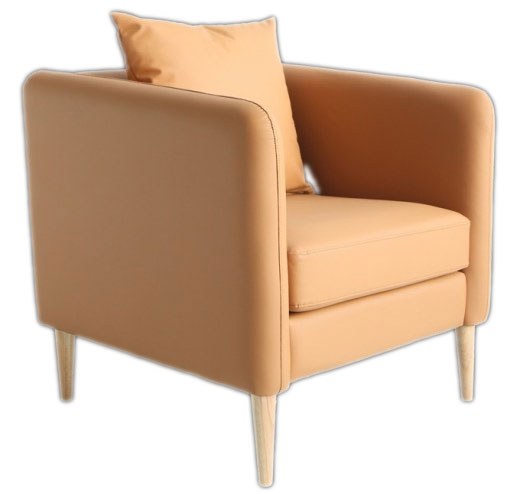 Ensemble de 2 Fauteuils NAVETTE Chic avec Coussin