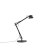 Lampe de Table Dedicate