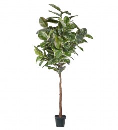 Plante Artificielle Elastica FICUS 2400