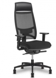 Fauteuil de Direction Ergonomique TEAM STRIKE