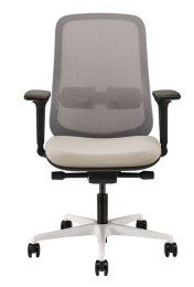 Lot de 2 Fauteuils de Bureau RW268 Dossier Résille Grise
