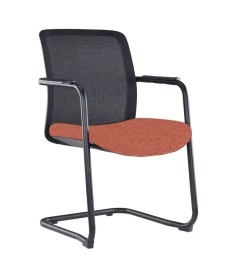 Lot de 4 Fauteuils Visiteur ou de Réunion PAPILLON Luge