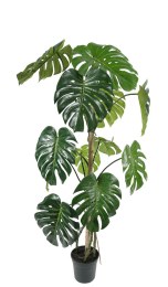 Plante Artificielle MONSTERA Haute Qualité 1500