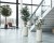 Ficus 900 avec Pot en Céramique Napoli