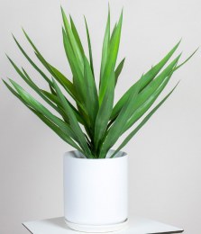 Plante Artificielle Haute Qualité YUCCA Palm 700